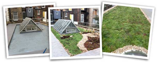 Green roofs photo